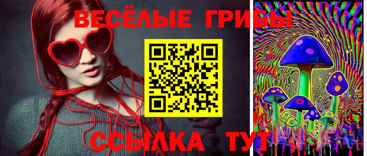 хочу наркоту  Вход с VPN  Конаково  Галлюциногенные грибы GOLDEN TEACHER 